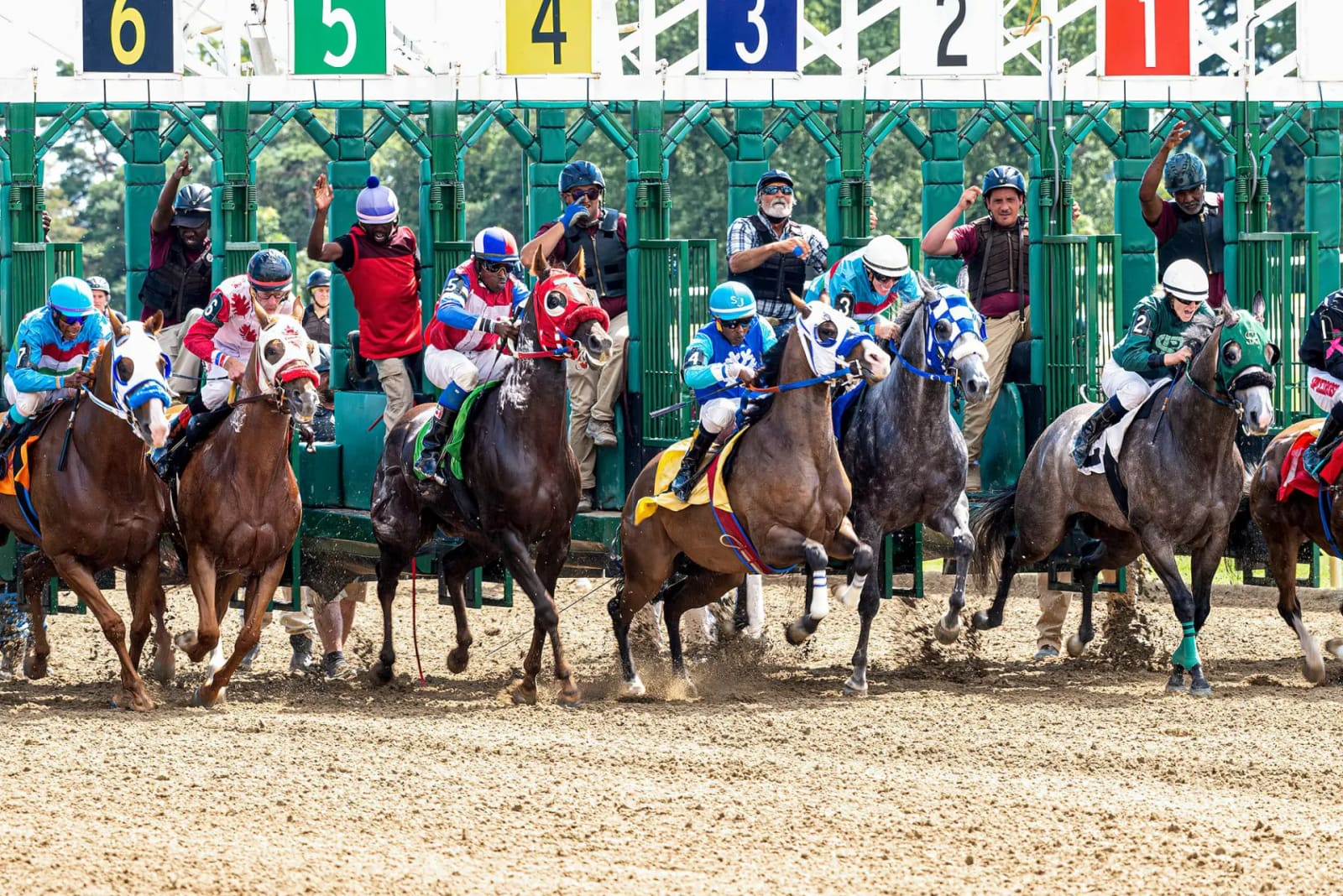 Cavalos e jóqueis saindo do partidor numerado numa corrida de velocidade