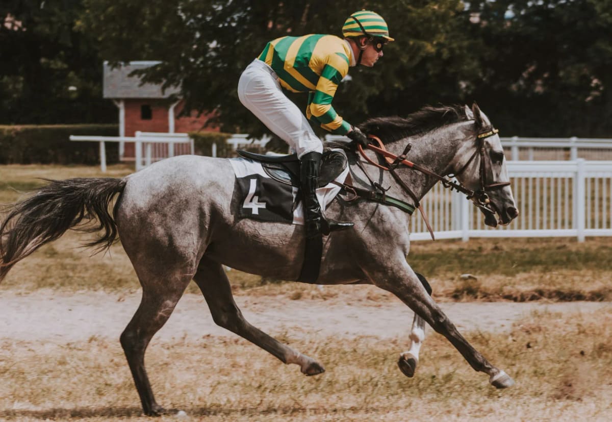 Jóquei de blusa verde e amarela montando um cavalo tordilho a galope